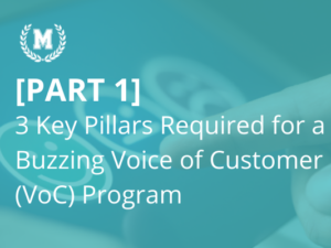 3 Pillars Required for a Buzzing Voice of Customer Program